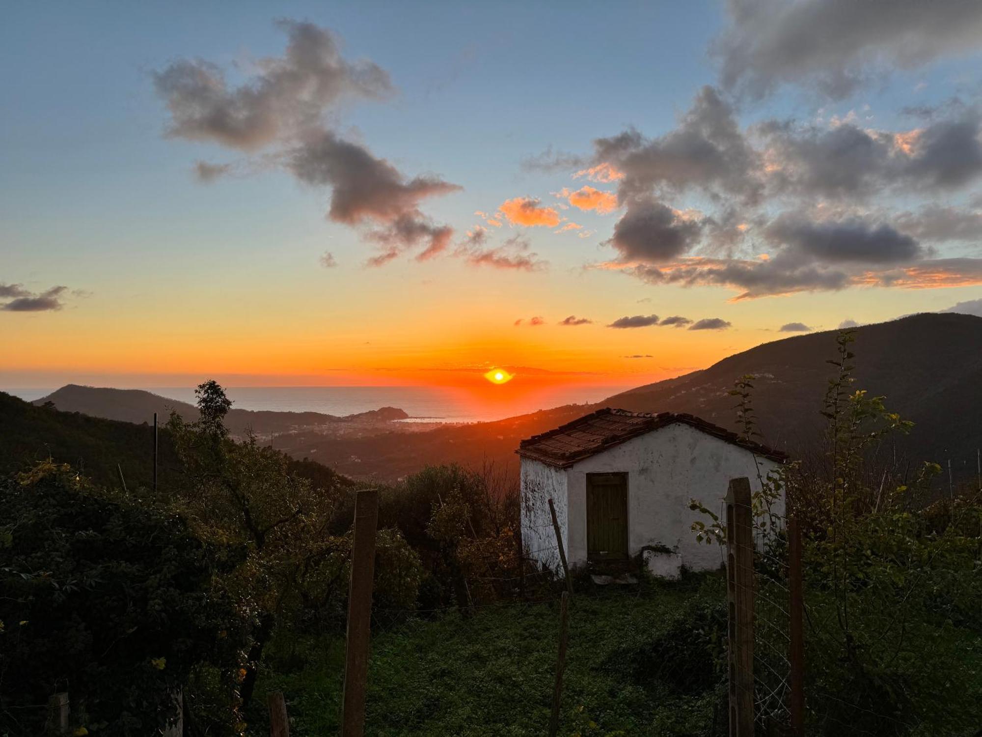 La Collina Sul Mare - Casa Vacanze 세스트리레반떼 외부 사진