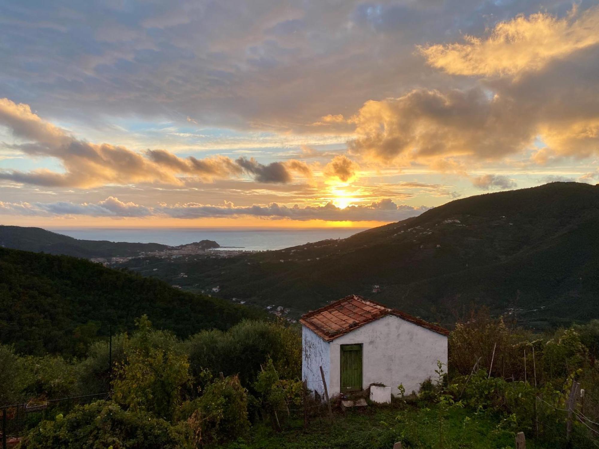 La Collina Sul Mare - Casa Vacanze 세스트리레반떼 외부 사진